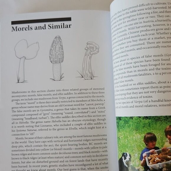 Mushrooms of British Columbia Field Guide Identification Handbook MacKinnon Andy - Picture 16 of 16